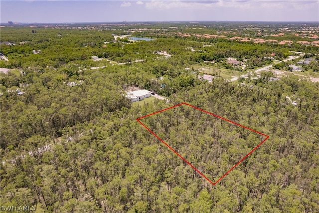 24299 Roger Dodger St, Bonita Springs FL, 34135 land for sale