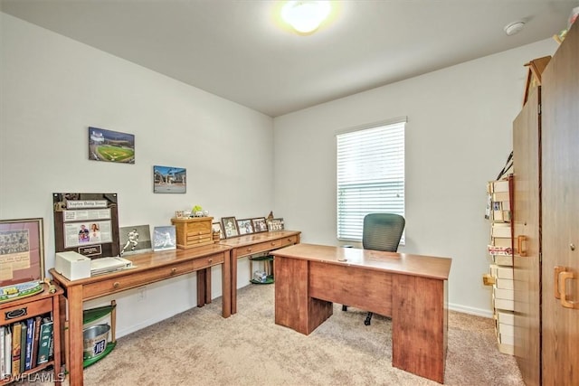 office area with light colored carpet