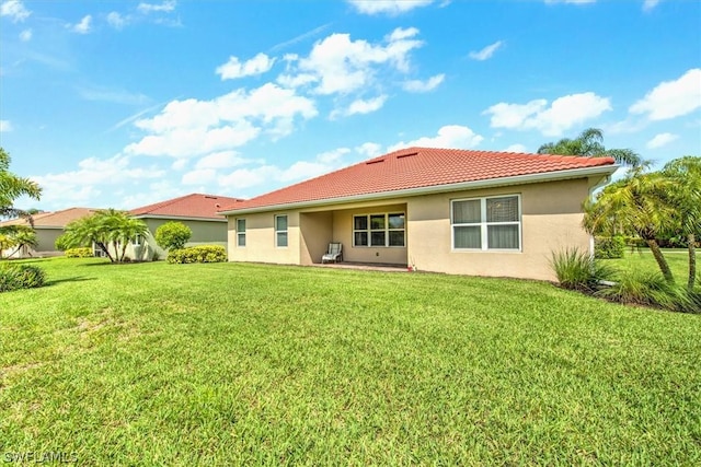 back of house featuring a yard