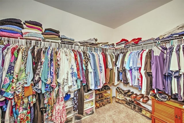 walk in closet with carpet