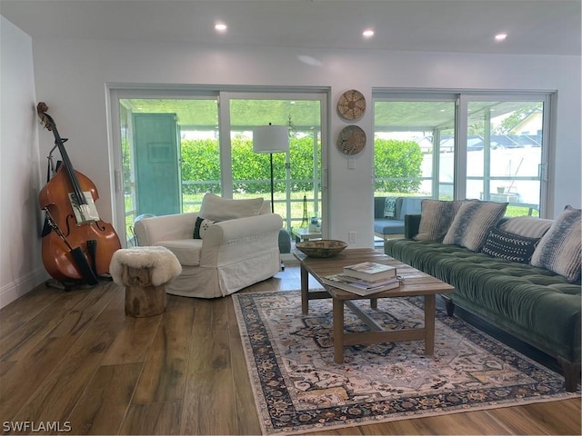 living room with hardwood / wood-style floors