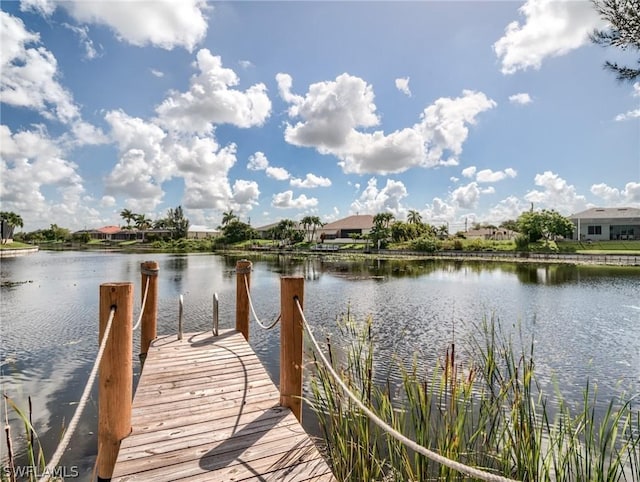 dock area with a water view