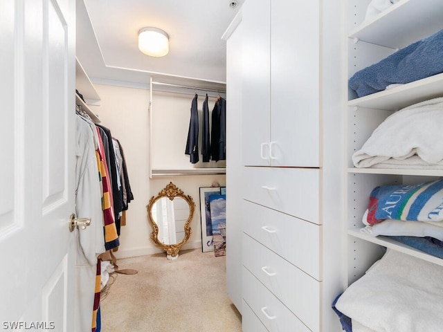 spacious closet with light colored carpet