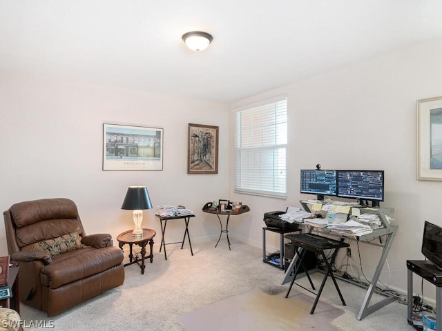 home office with carpet floors