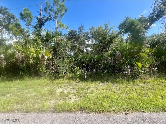 14187 Gables Ave, Port Charlotte FL, 33953 land for sale