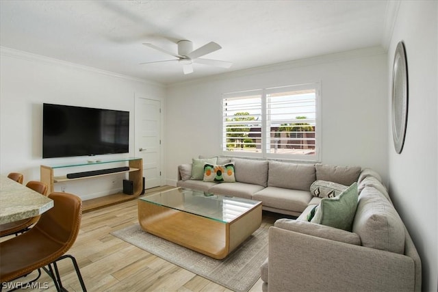 living room featuring ceiling fan, light wood-type flooring, and crown molding