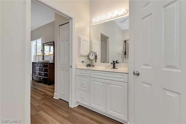 bathroom with wood-type flooring and vanity