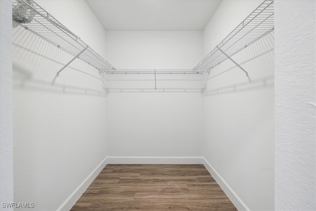 walk in closet featuring hardwood / wood-style floors