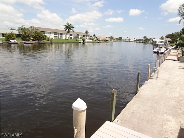 dock area with a water view