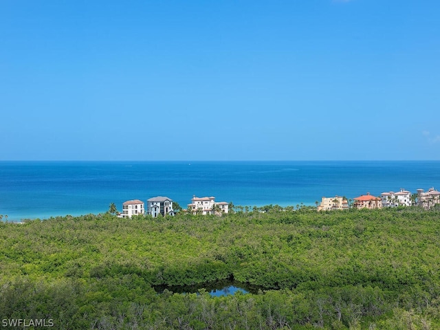 property view of water