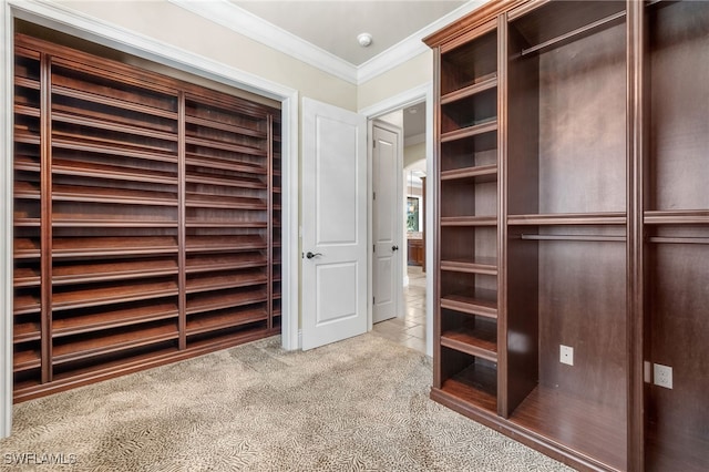 walk in closet with carpet floors