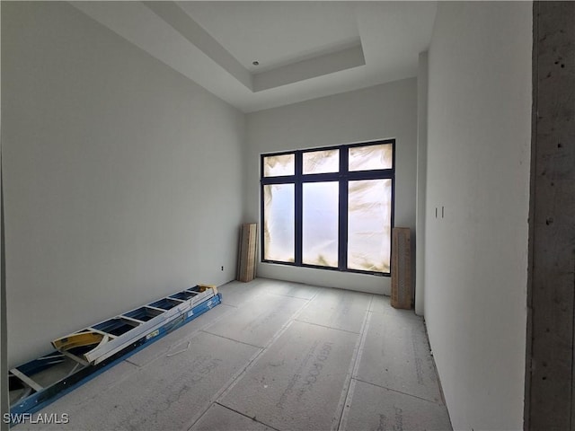 spare room featuring a tray ceiling