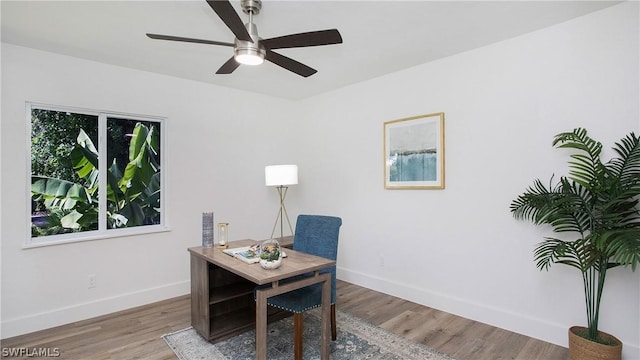 office featuring light hardwood / wood-style floors and ceiling fan