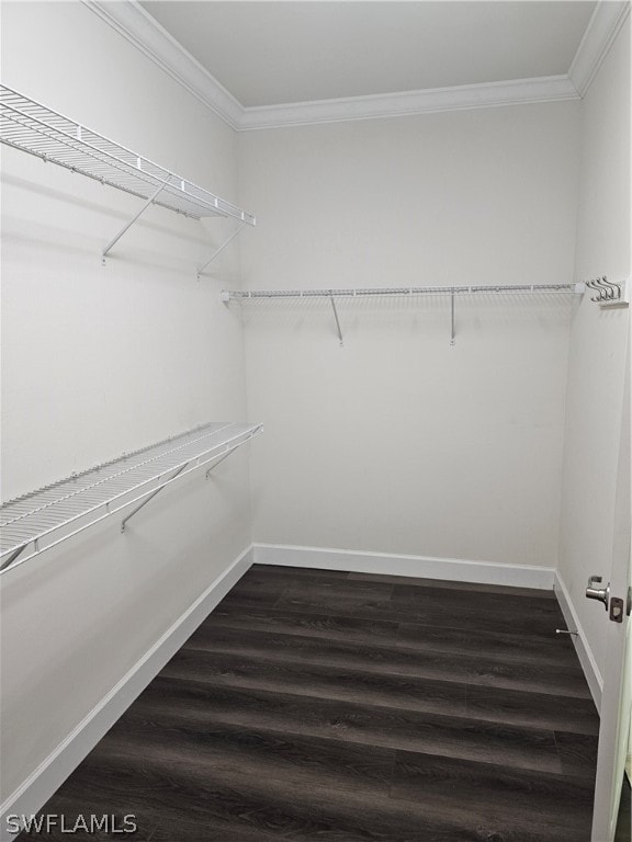 walk in closet with dark hardwood / wood-style floors