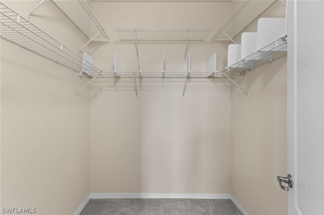 walk in closet featuring carpet flooring