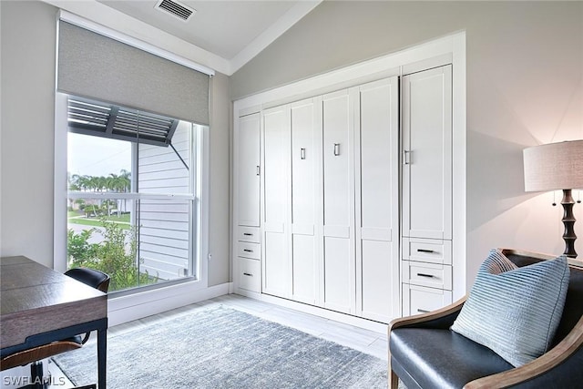 living area featuring lofted ceiling