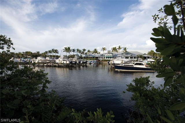 view of water feature featuring a dock