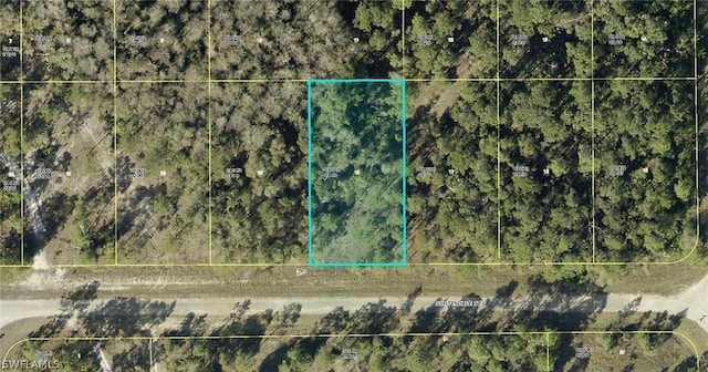 429 Scottsdale St, Lehigh Acres, FL 33974