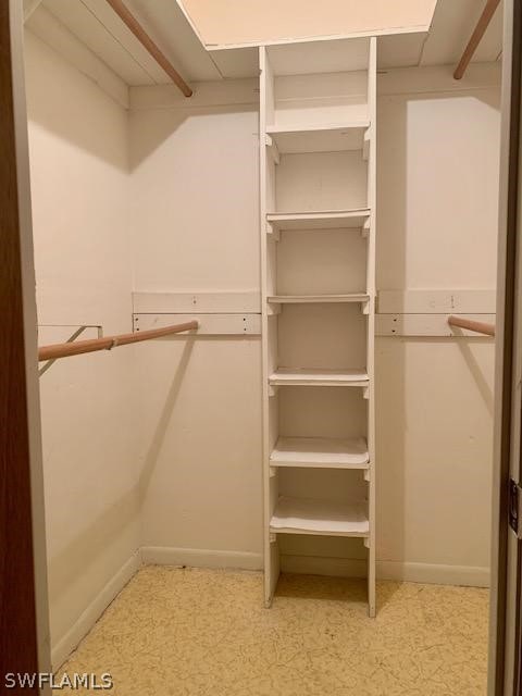 view of spacious closet