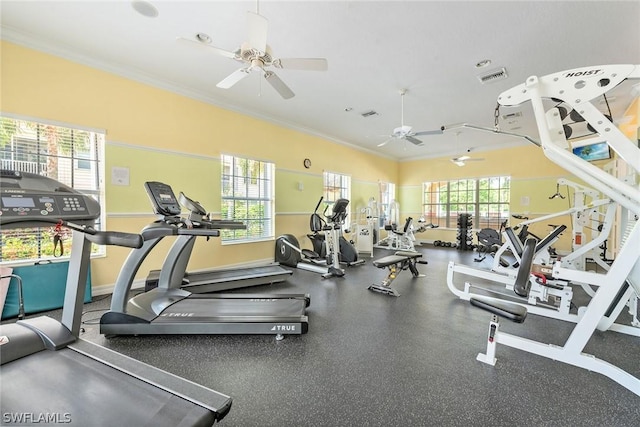 exercise room featuring ceiling fan and crown molding