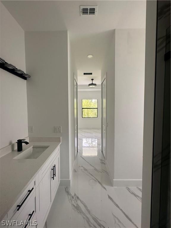 bathroom with vanity and a shower