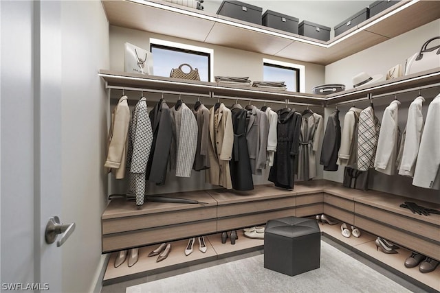 view of spacious closet