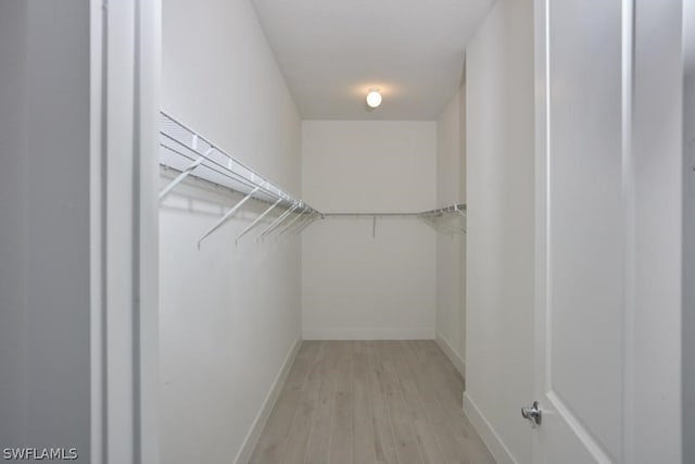 spacious closet with light hardwood / wood-style flooring