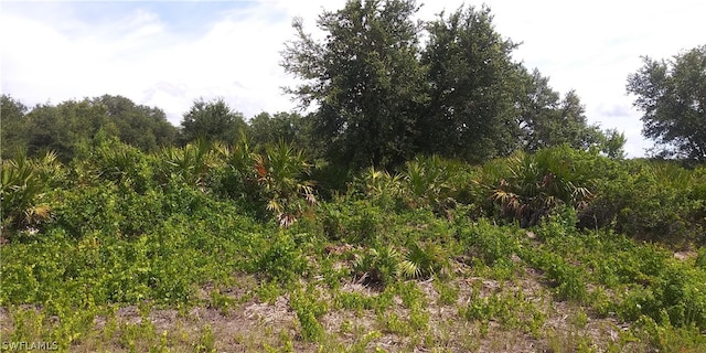 6006 Ida Ave N, Lehigh Acres FL, 33971 land for sale