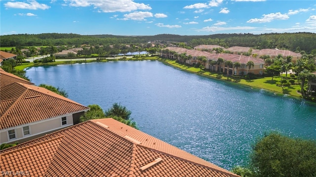 aerial view with a water view