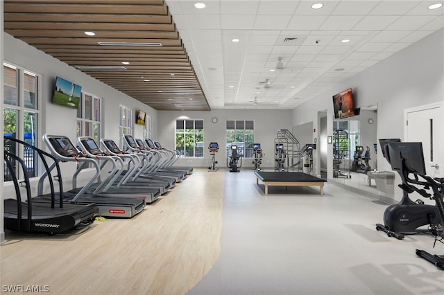 workout area featuring hardwood / wood-style flooring and a drop ceiling