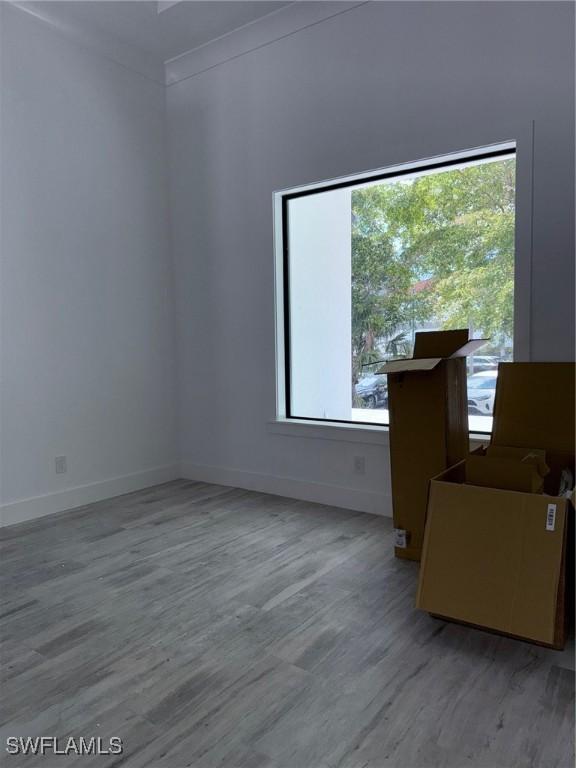 spare room with light wood-type flooring, baseboards, and plenty of natural light