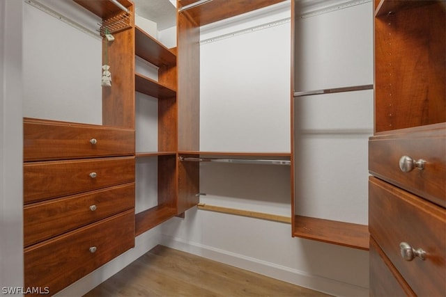 walk in closet featuring light hardwood / wood-style floors