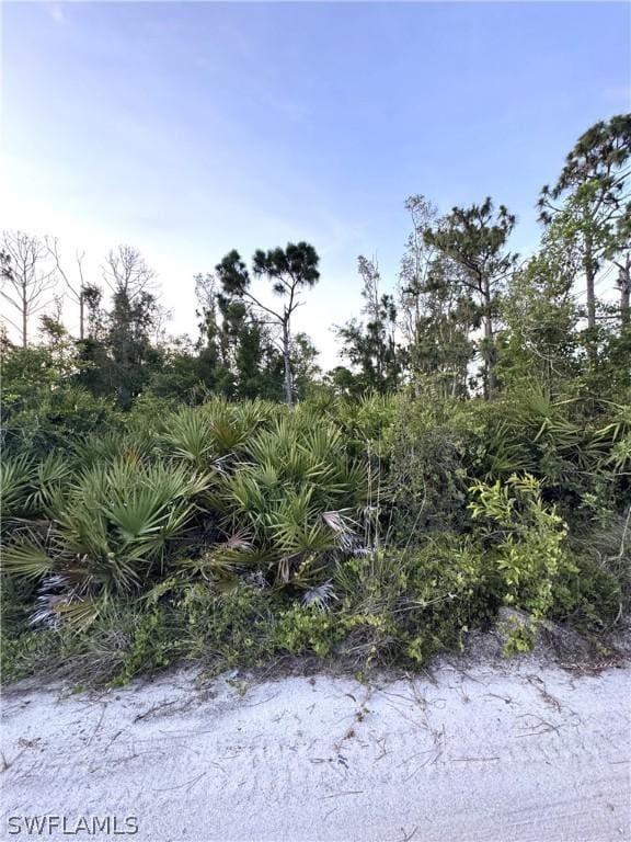 6350 Mannheim Rd, Bokeelia FL, 33922 land for sale