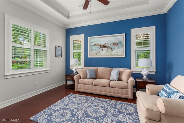 living room with a raised ceiling, ceiling fan, dark hardwood / wood-style floors, and crown molding