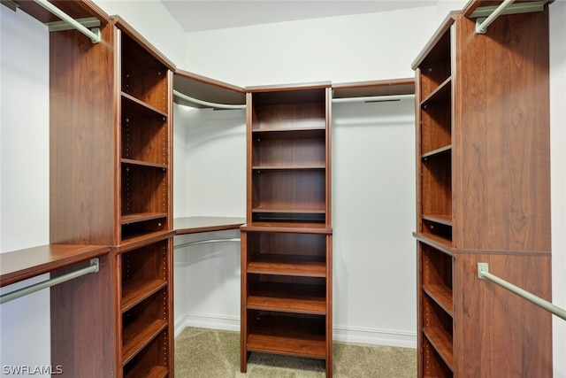 spacious closet featuring light colored carpet