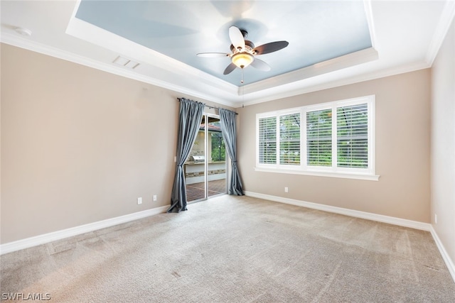 spare room featuring light carpet, a raised ceiling, a wealth of natural light, and baseboards