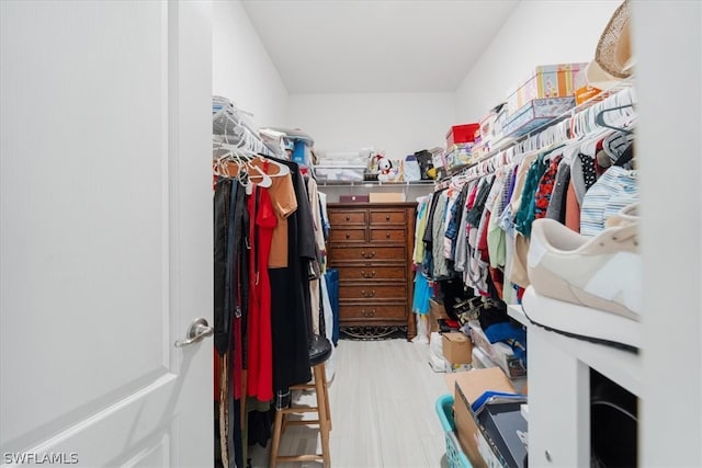 view of spacious closet