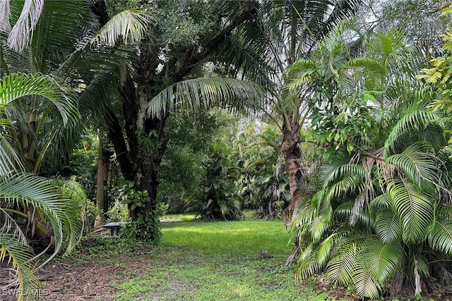 10010 Kentucky St, Bonita Springs FL, 34135 land for sale