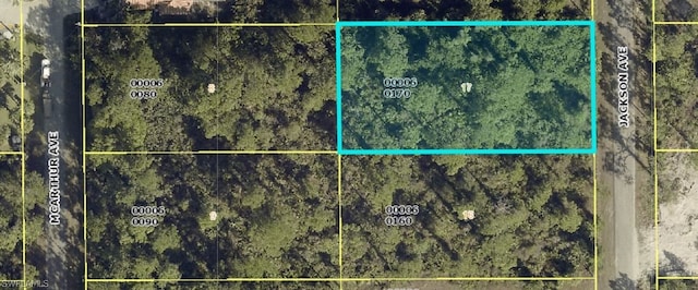 Listing photo 2 for Address Not Disclosed, Lehigh Acres FL 33972