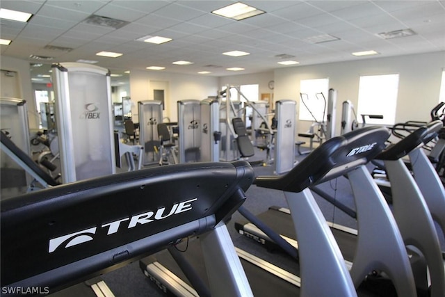 gym with a paneled ceiling and plenty of natural light