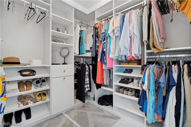 view of spacious closet