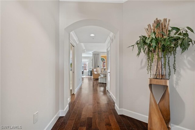 hallway featuring dark wood-type flooring