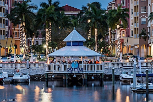 dock area with a water view