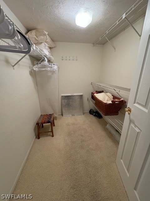 walk in closet with carpet flooring