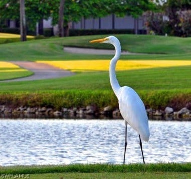 surrounding community featuring a yard and a water view