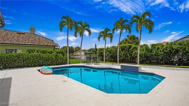 view of pool featuring a patio area