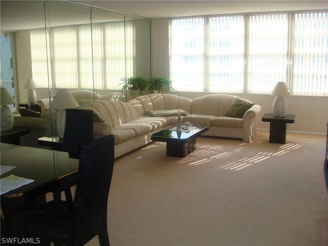 living room featuring carpet floors