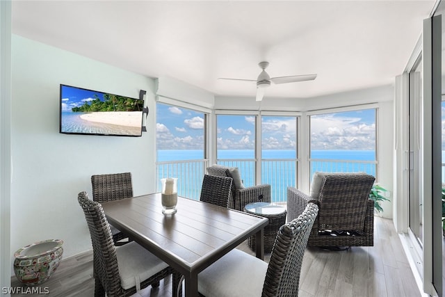 dining room featuring ceiling fan and wood-type flooring