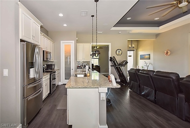 kitchen with appliances with stainless steel finishes, sink, dark hardwood / wood-style floors, pendant lighting, and a center island with sink