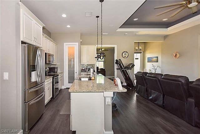 kitchen with a sink, stainless steel appliances, open floor plan, and dark wood finished floors